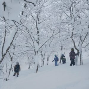 Snowboard in Giappone - Honshu - Federico Resega