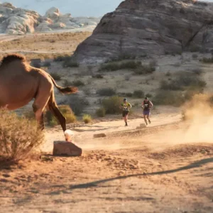 Petra Desert Marathon & Ultra Half Marathon